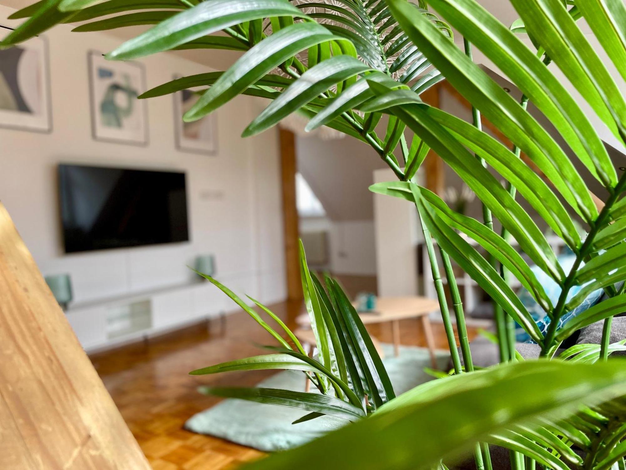 Ambiente Apartment