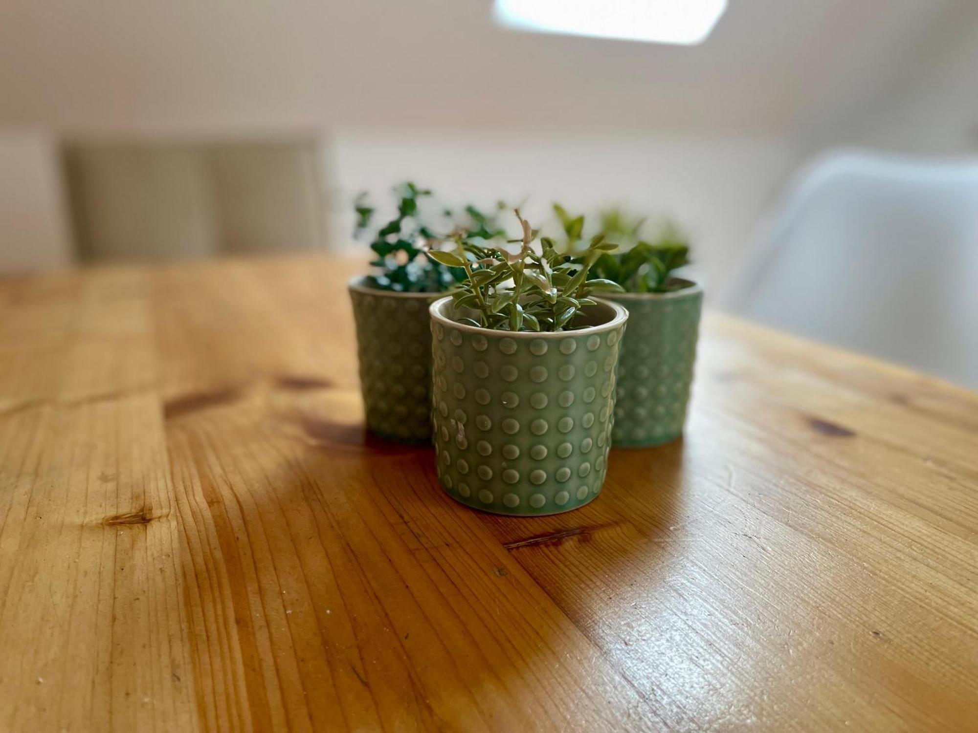 Apartamento Ambiente Falkensee